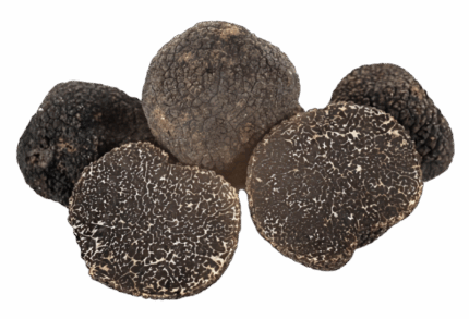 Tartufo nero pregiato
