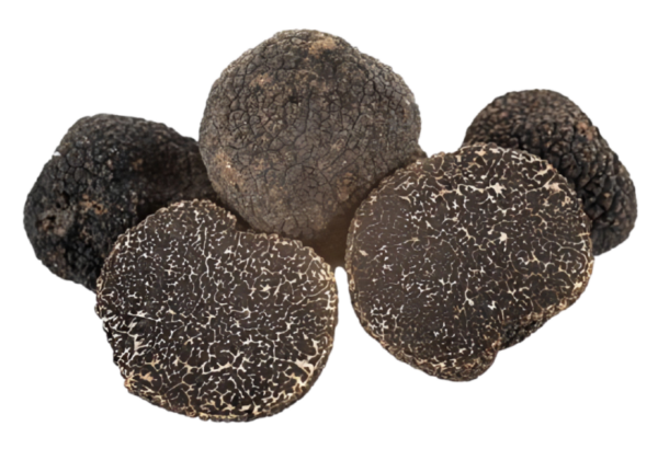 Tartufo nero pregiato