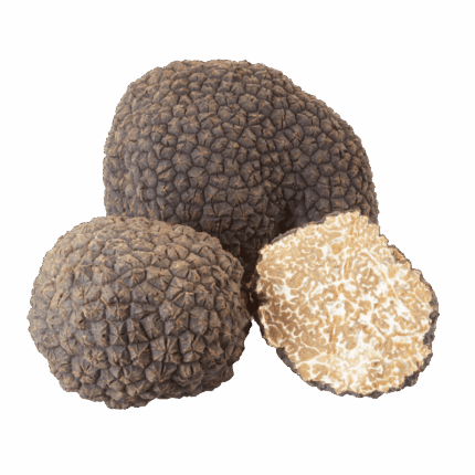 Tartufo estivo fresco