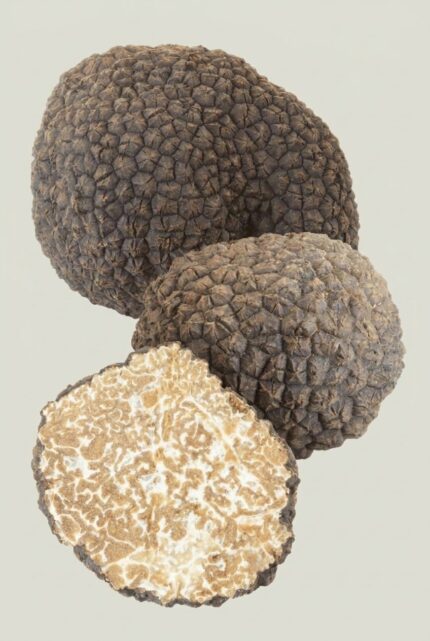 Tartufo estivo fresco dell Umbria, intero e tagliato a meta